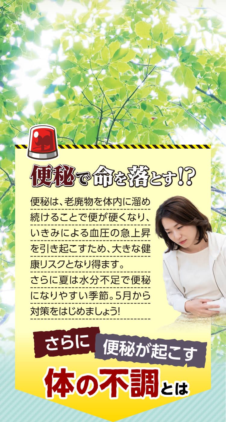 便秘で命を落とす！？便秘は、老廃物を体内に留め続けることで便が硬くなり、いきみによる血圧の急上昇を引き起こすため、大きな健康リスクとなり得ます。さらに夏は水分不足で便秘になりやすい季節。5月から対策をはじめましょう！ さらに便秘が起こす体の不調とは