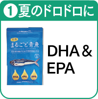 1.まるごと青魚を詳しく見る