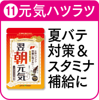 11.翌朝元気を詳しく見る