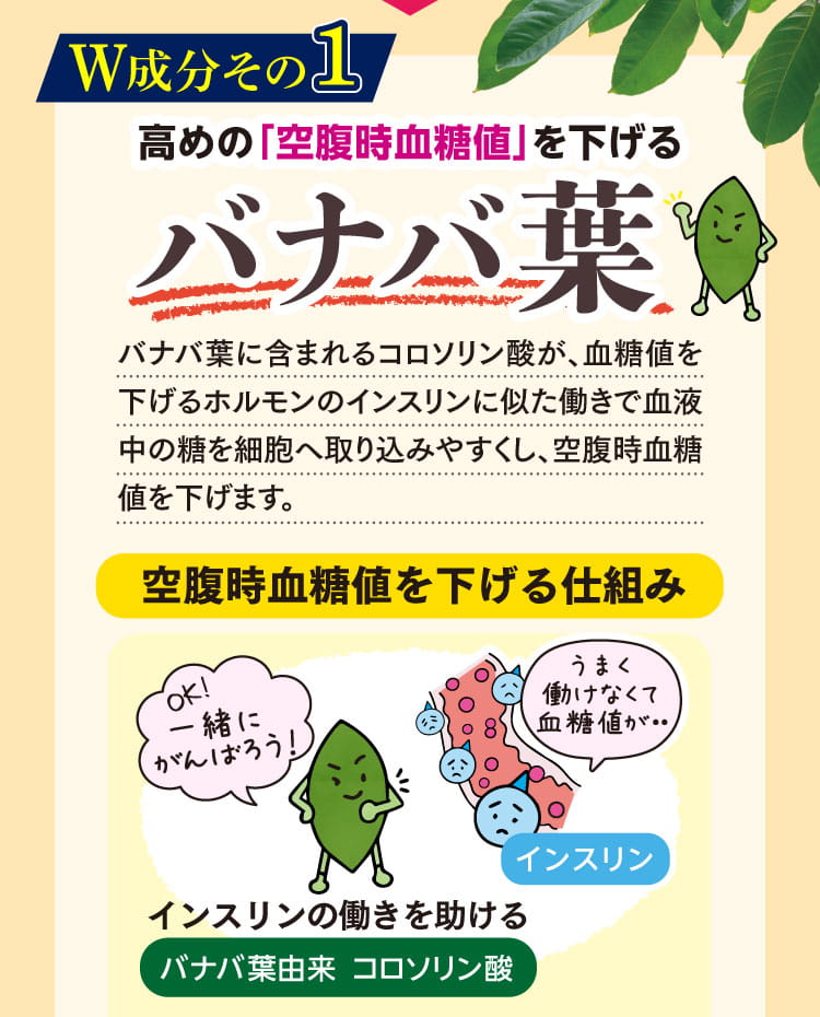 高めの空腹血糖値を下げるバナバ葉