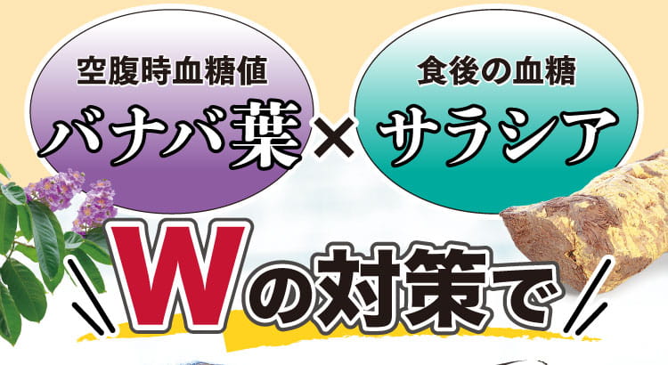 バナバ葉とサラシアのWの対策で