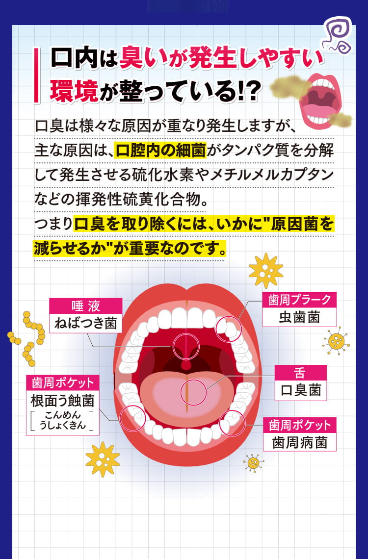 口内は臭いが発生しやすい環境が整っている！？