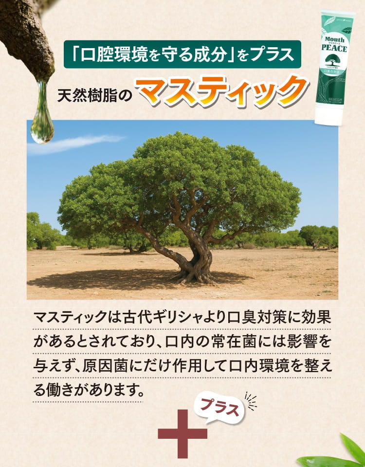 口腔環境を守る成分・天然樹脂のマスティックをプラス