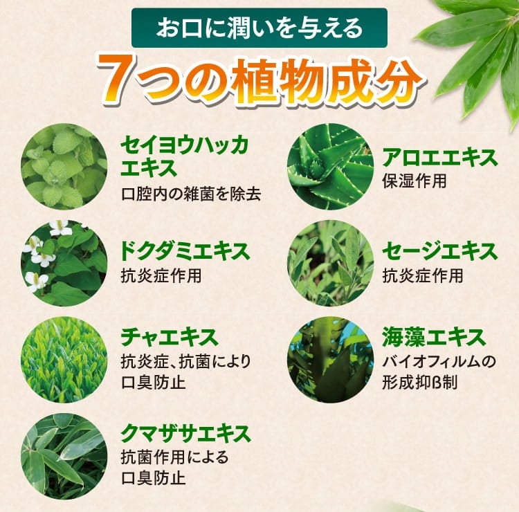 お口に潤いを与える7つの植物成分