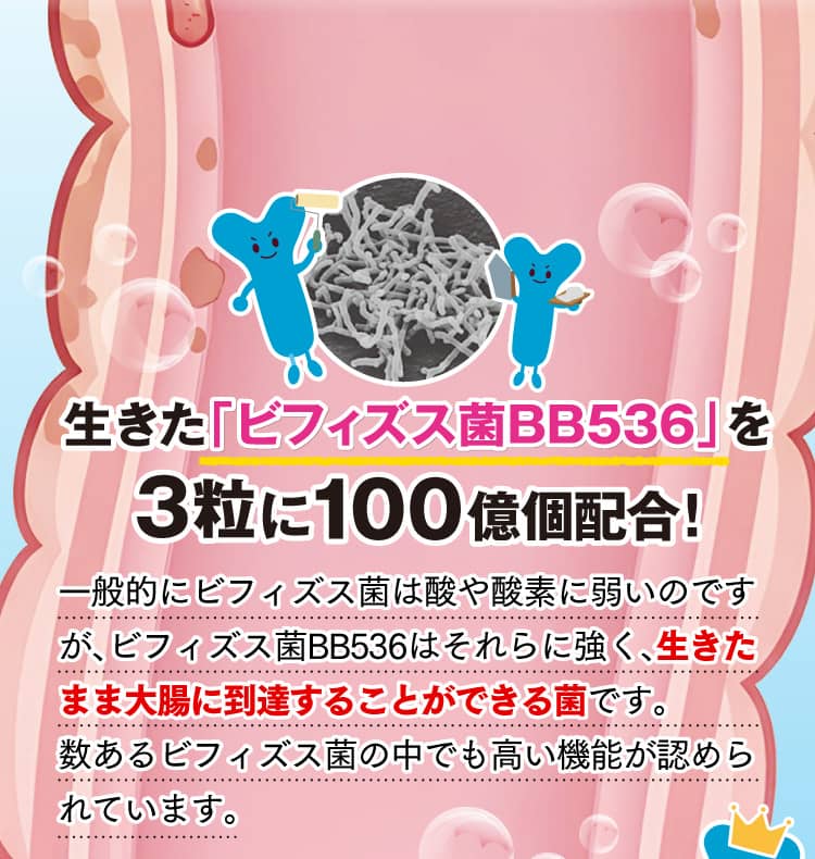 生きたビフィズス菌を3粒に100億個配合！