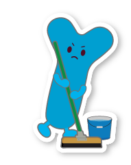 腸内を掃除するビフィズス菌01