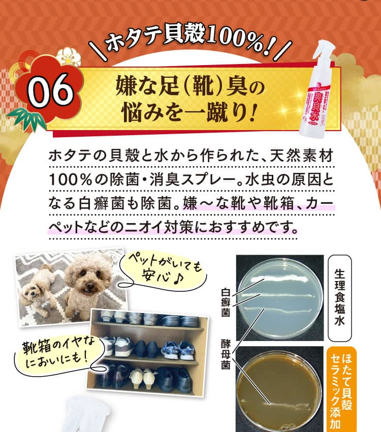 ホタテ貝殻100%！嫌な足（靴）臭の悩みを一蹴り！