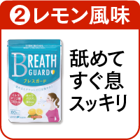 2.ブレスガードを詳しく見る