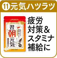 11.翌朝元気を詳しく見る