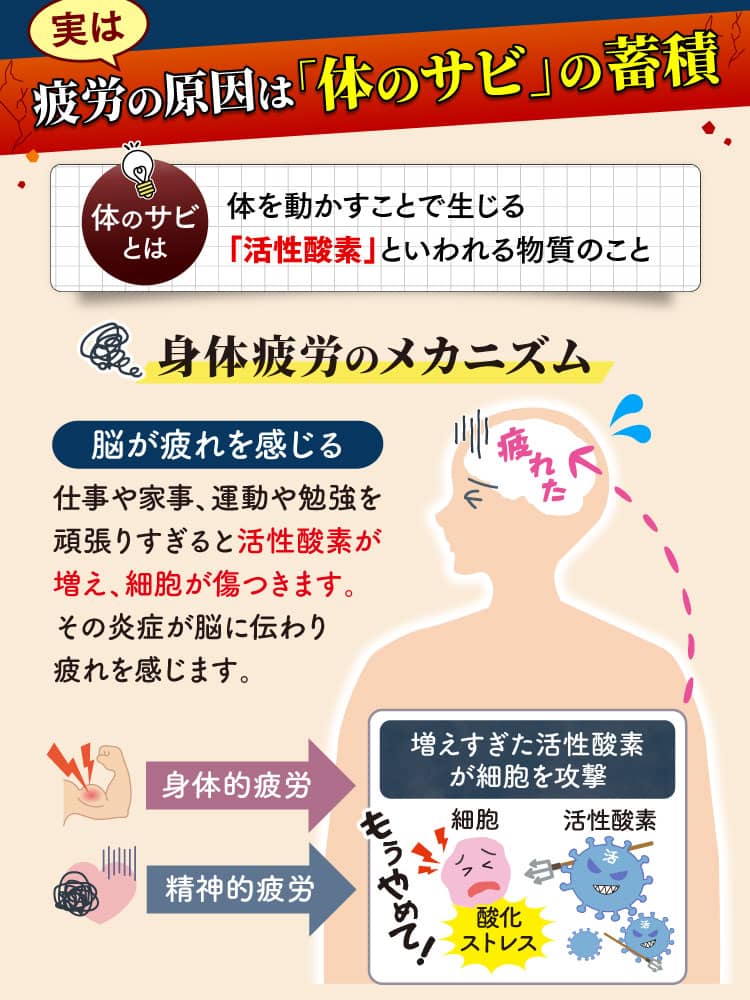 実は疲労の原因は「体のサビ」の蓄積