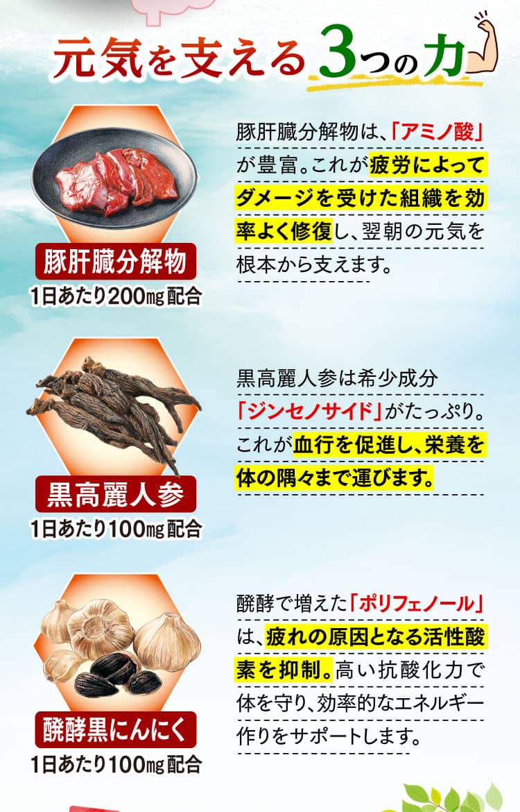 元気を支える3つの力