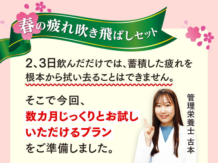 春の疲れを吹き飛ばしセット