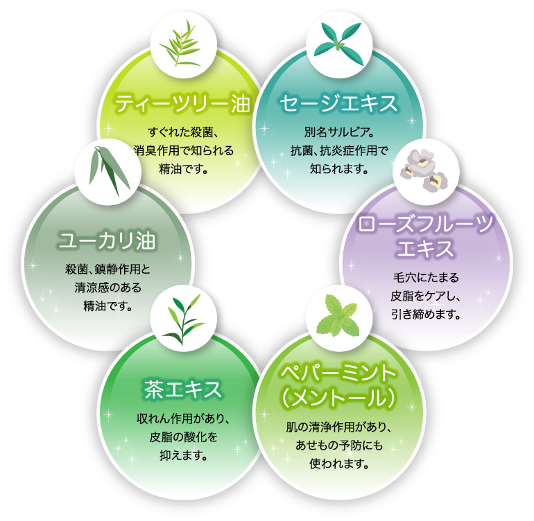 6つの成分イラスト
