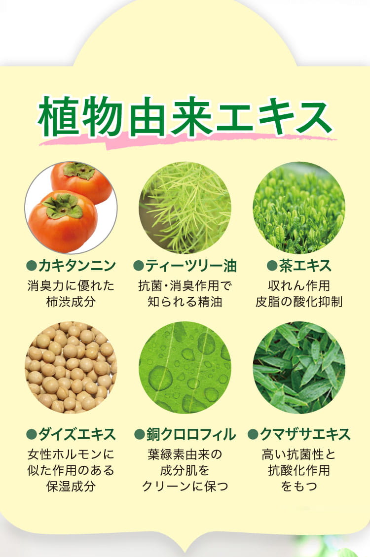 6つの植物由来エキス配合