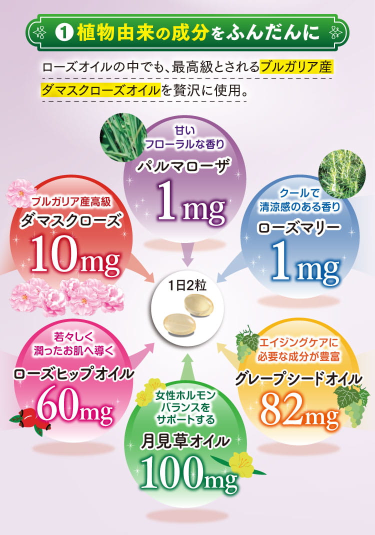 植物由来の成分をふんだんに