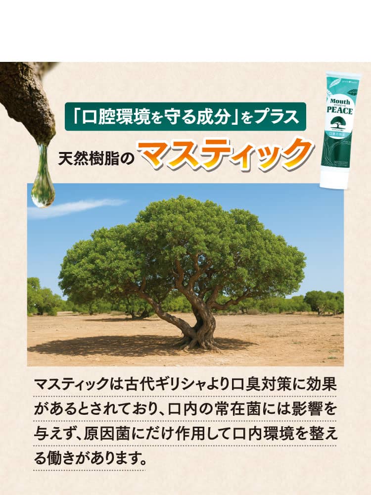 「口腔環境を守る成分」をプラス 天然樹脂のマスティック