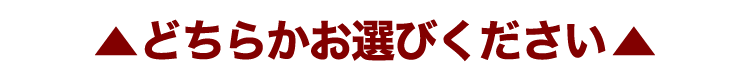 どちらかお選びください