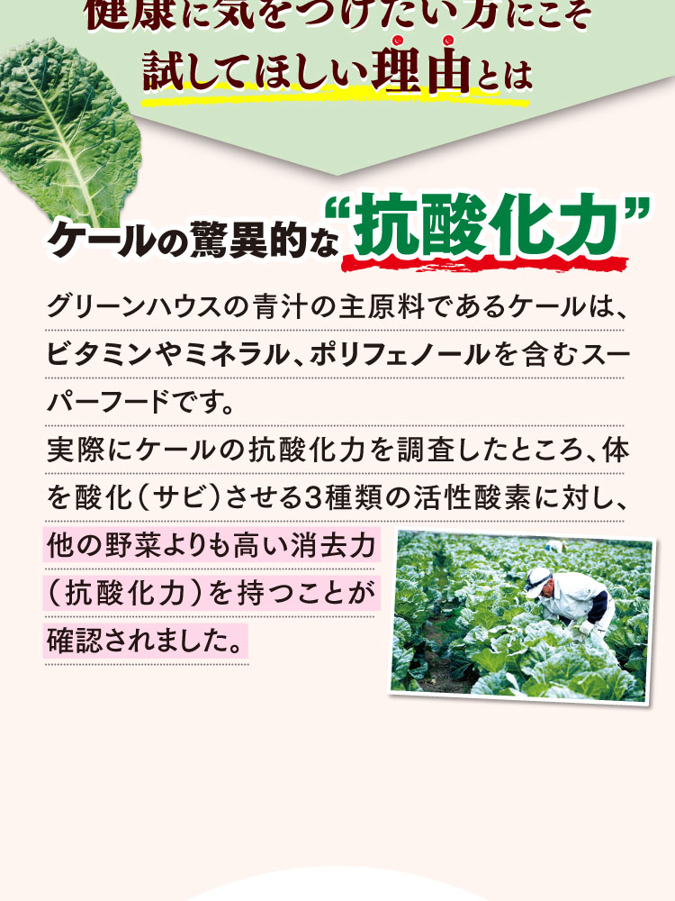 ケールの驚異的な抗酸化力