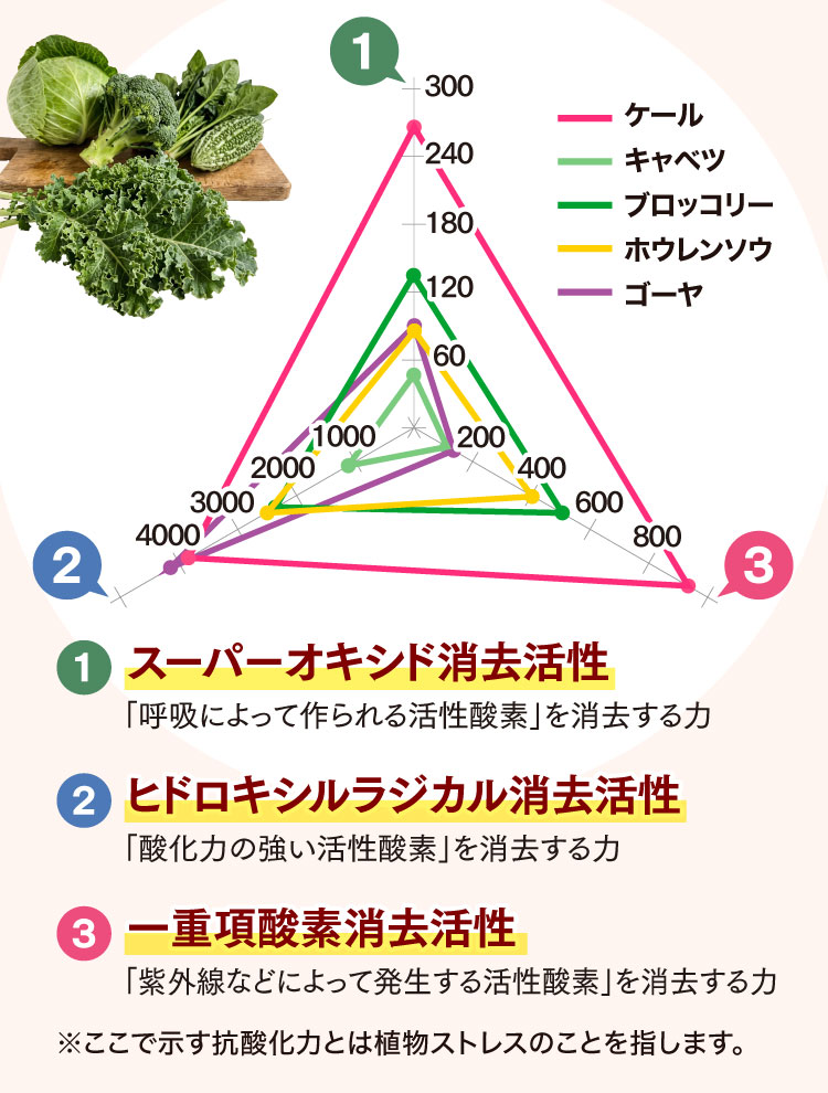 抗酸化力に優れているケールのグラフ