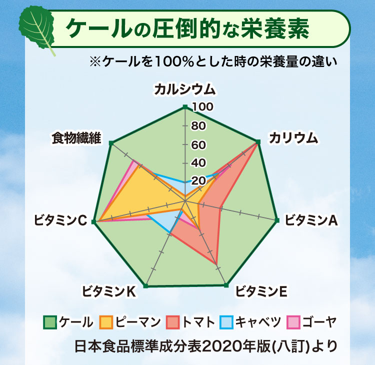 ケールの圧倒的な栄養素