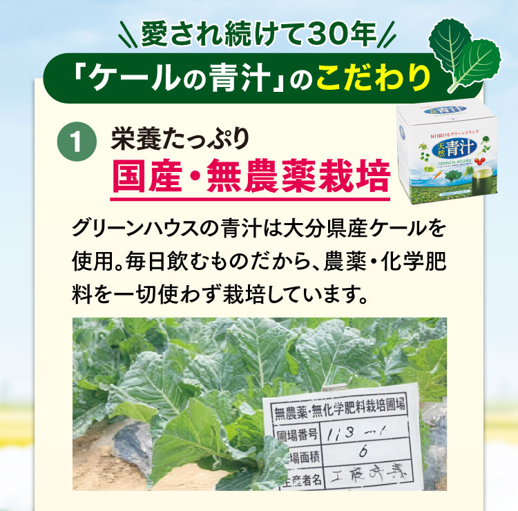 ケール青汁のこだわり国産・無農薬栽培