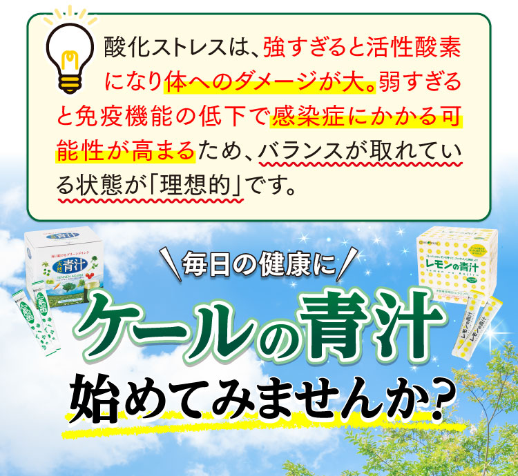 毎日の健康にケールの青汁始めてみませんか？