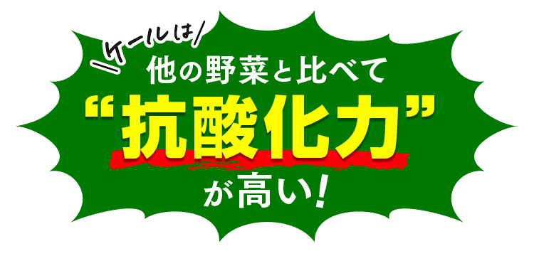 ケールは他の野菜と比べて抗酸化力が高い！