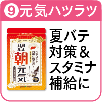 9.翌朝元気を詳しく見る