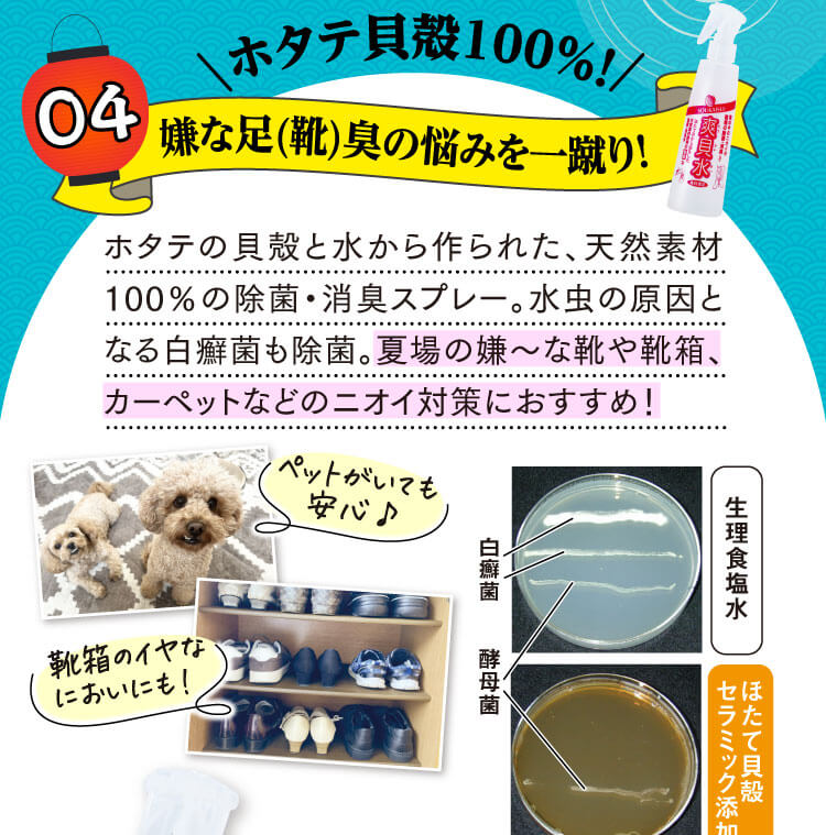 ホタテ貝殻100％/嫌な足（靴）臭の悩みを一蹴り！