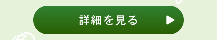 詳細を見る