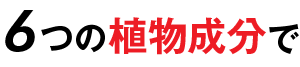 5つの植物成分で