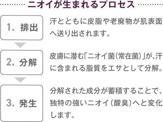 ニオイが生まれるプロセス　汗とともに皮脂や老廃物が肌表面に。皮膚にいそむニオイ菌（常在菌）がそれらを分解。分解された成分が蓄積し、独特の強いニオイ（酸臭）へ変化