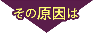 その原因は