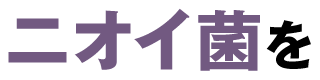 ニオイ菌を