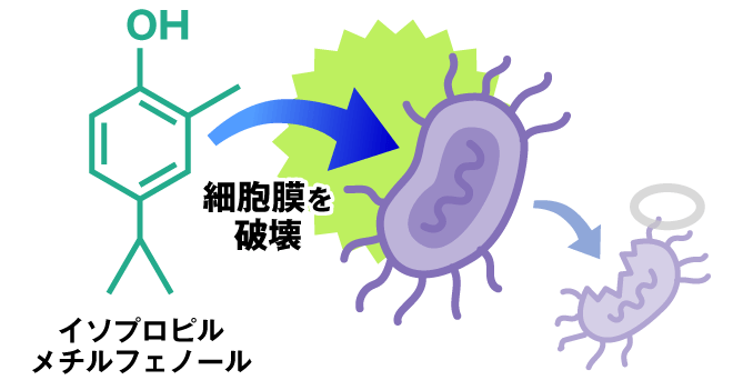 IPMPが原因菌の細胞膜を破壊