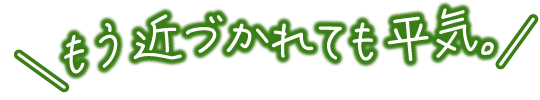 もう近づかれても平気