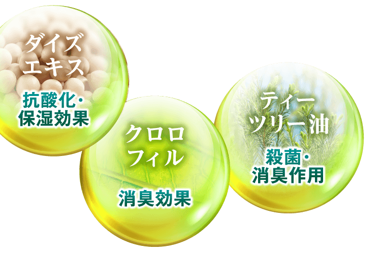 ダイズエキス（抗酸化・保湿効果）、クロロフィル（消臭効果）、ティーツリー油（殺菌・消臭作用）