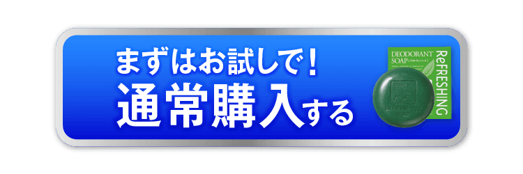 まずはお試しで 通常価格で購入する