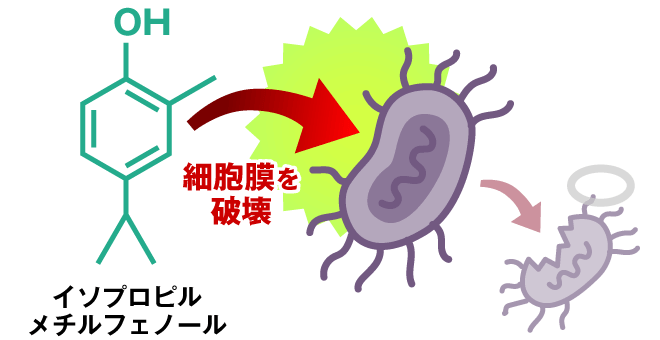 細胞壁を破壊