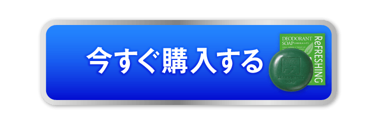 今すぐ購入する