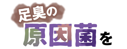 足臭の原因菌を