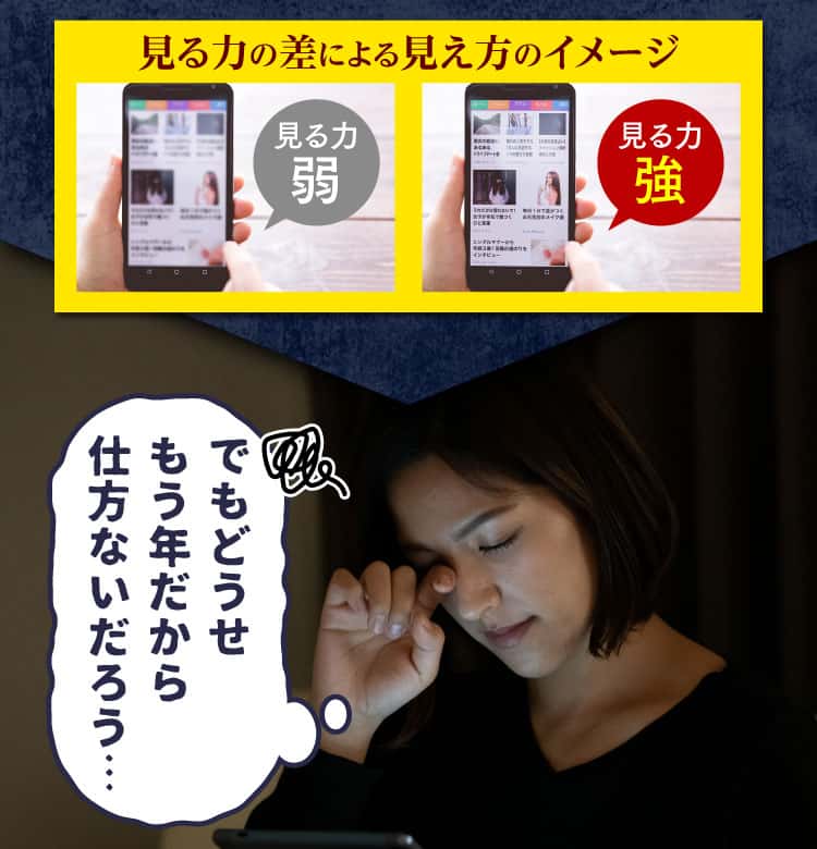 でもどうせもう年だから仕方ないだろう・・・