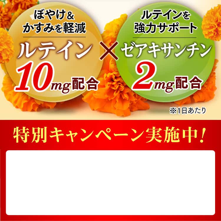 特別キャンペーン実施中！