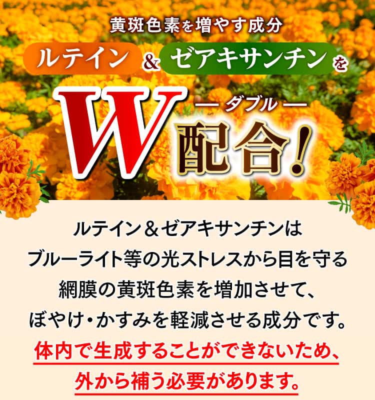 黄斑色素を増やす成分ルテイン＆ゼアキサンチンをW配合！