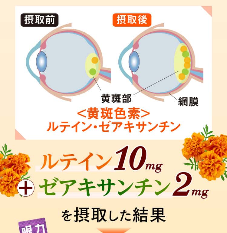 ルテイン10mg＋ゼアキサンチン2mgを摂取した結果