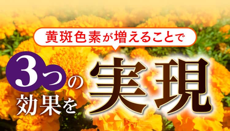 黄斑色素が増えることで3つの効果を実現