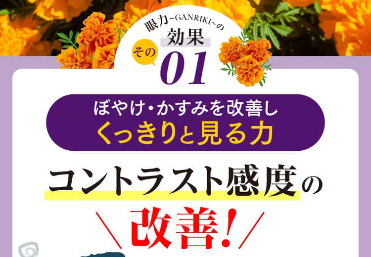 コントラスト感度の改善