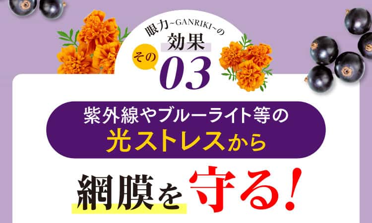 紫外線やブルーライト等の光ストレスから網膜を守る