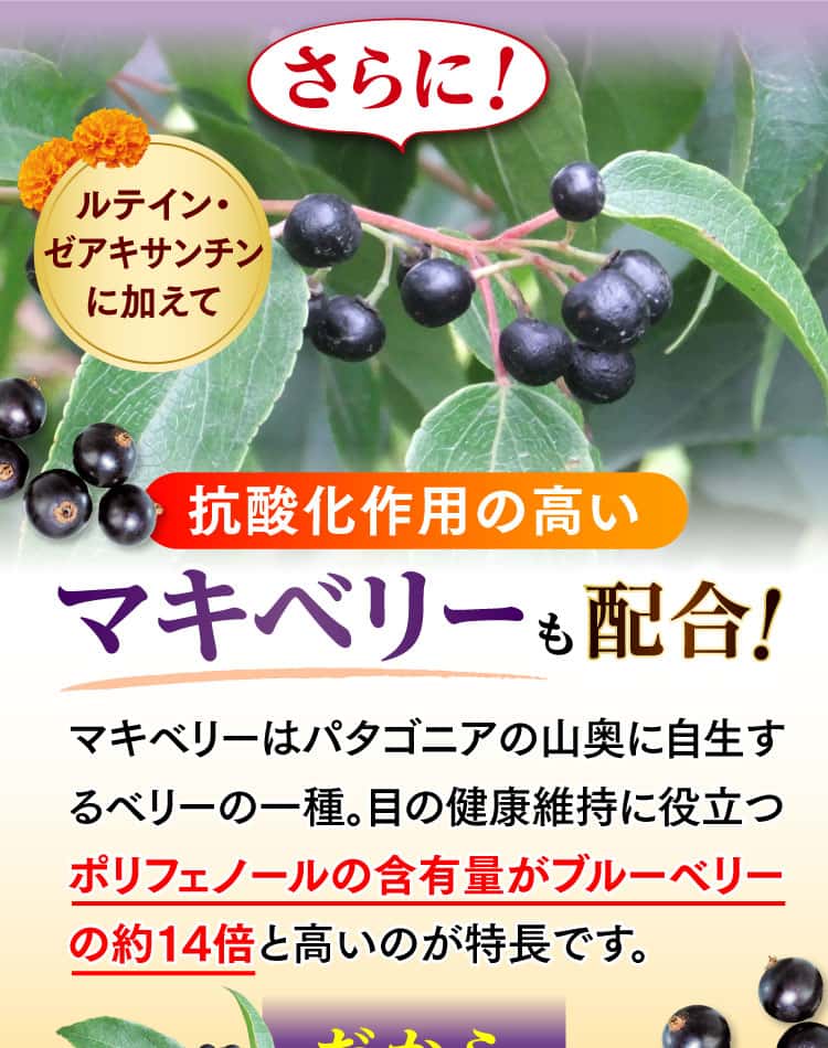 さらに抗酸化作用の高いマキベリーも配合