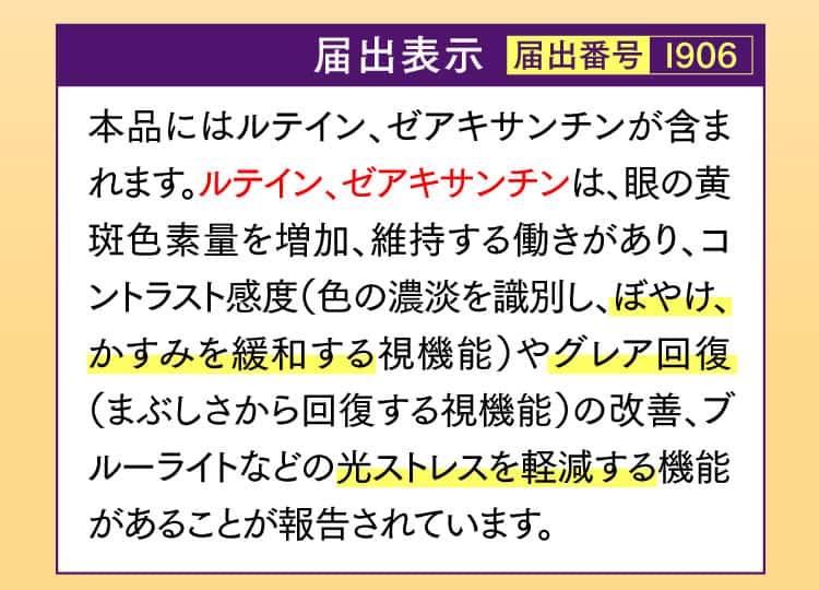届出表示/届出番号I906